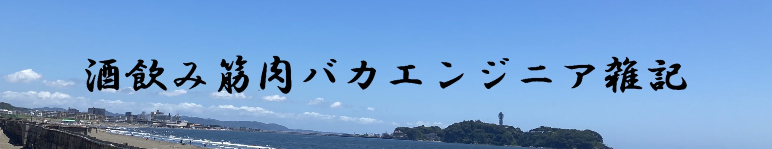 酒飲み筋肉バカエンジニア雑記